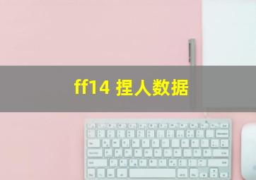 ff14 捏人数据